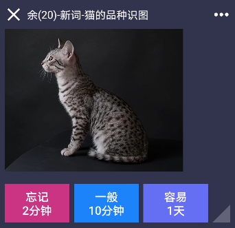 碎片记忆app