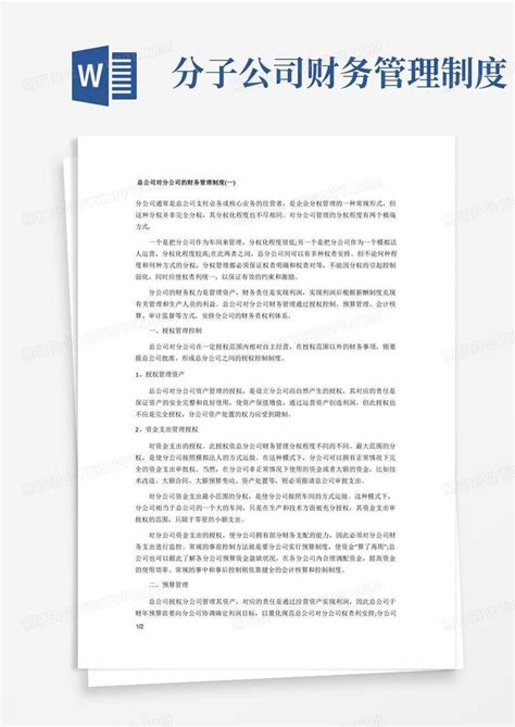 总公司高效管控分公司财务的策略与实践 2