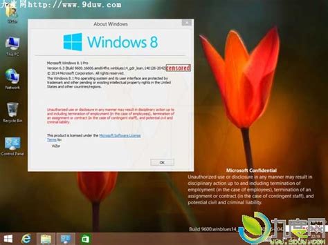 Windows 8.1系统升级：一键获取最新更新 1