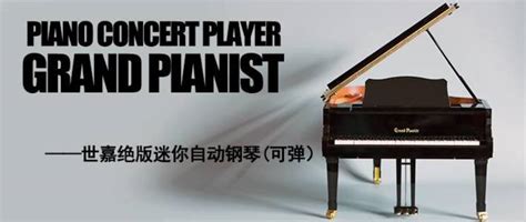 揭秘：Pianist的真正含义是什么？ 2