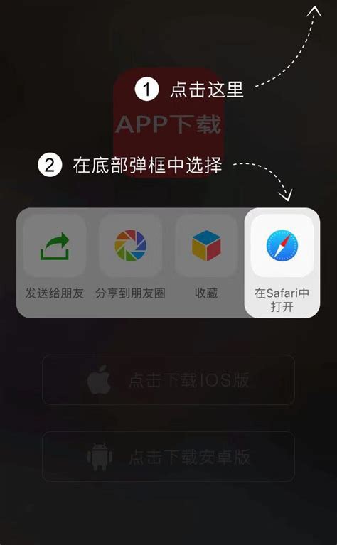 轻松学会：在浏览器中快速打开图片的方法 3