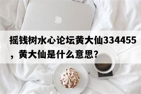 笔记本电脑配置推荐：摇钱树论坛黄大仙心得分享 1