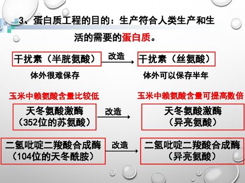 揭秘蛋白质工程的完整打造流程 3