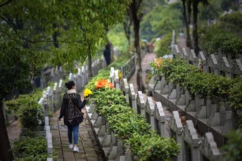 清明南京暂停现场祭扫，那应该如何进行祭扫呢？ 2