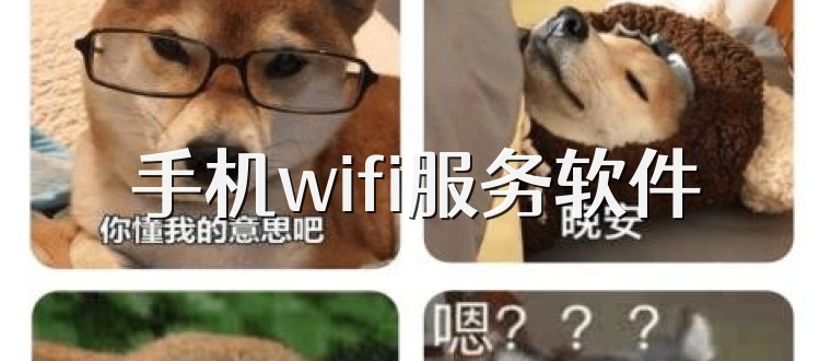 手机wifi服务软件