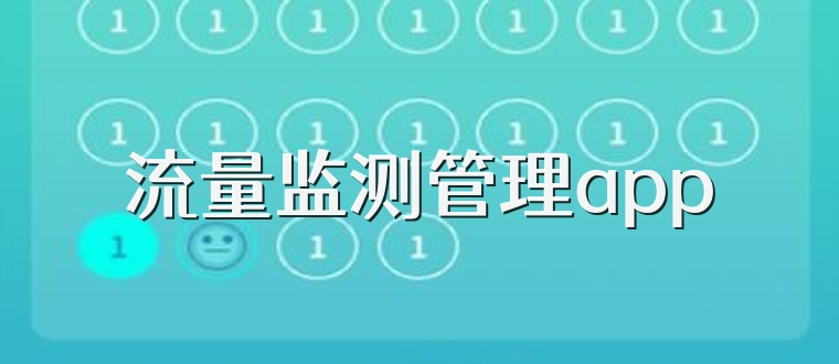 流量监测管理app