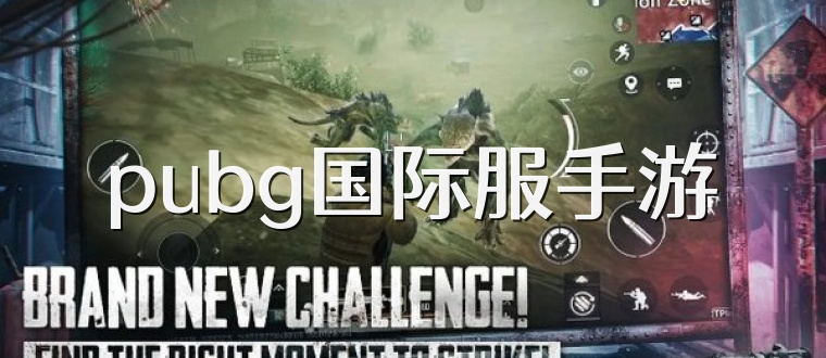 pubg国际服手游