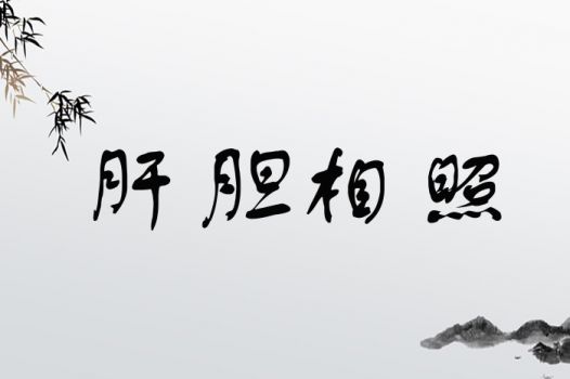 揭秘“肝胆相照”的真正含义 3