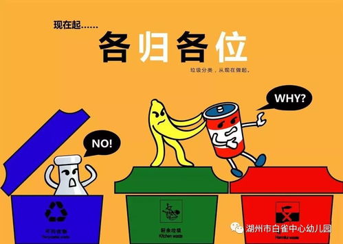 垃圾分类：绿色行动，共创美好家园的密钥 1