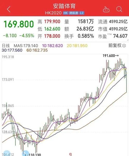 鸿星尔克股票代码查询 2