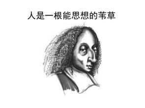 五月念貂裘之续篇 1