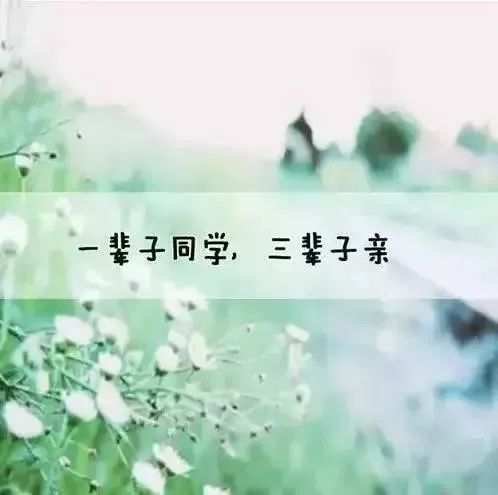 常来常往，情谊绵长 3