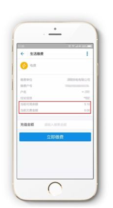 掌握手机查询电费余额的便捷方法 2