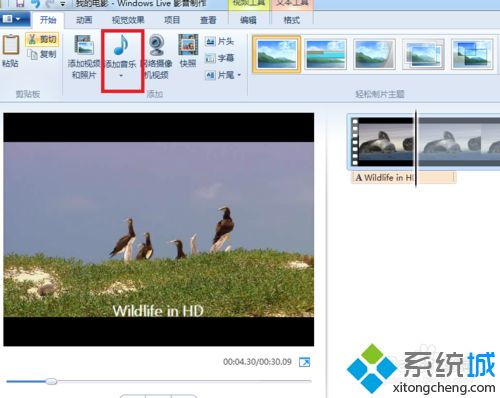 掌握Windows Movie Maker，轻松打造精彩视频作品 2