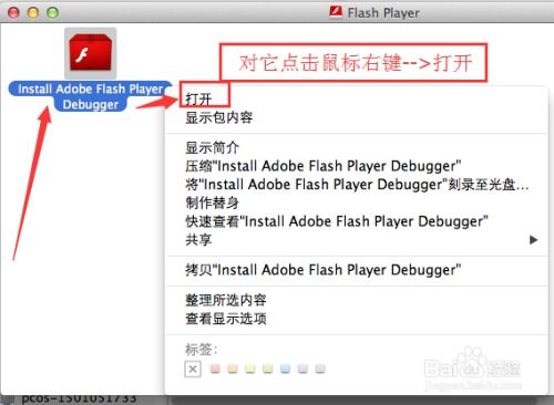 Mac系统用户必看：轻松安装Adobe Flash Player指南 4