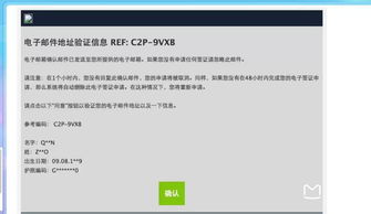 如何快速办理土耳其电子签证 4