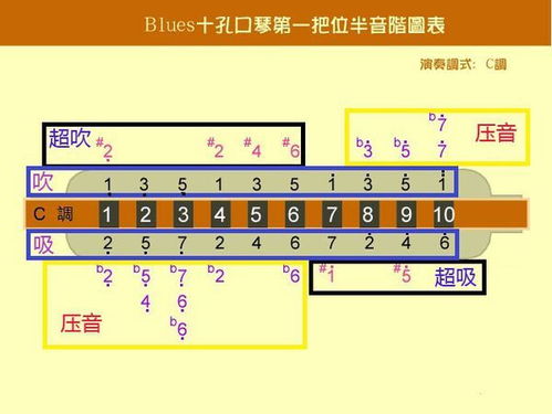 零基础口琴快速入门教程 3