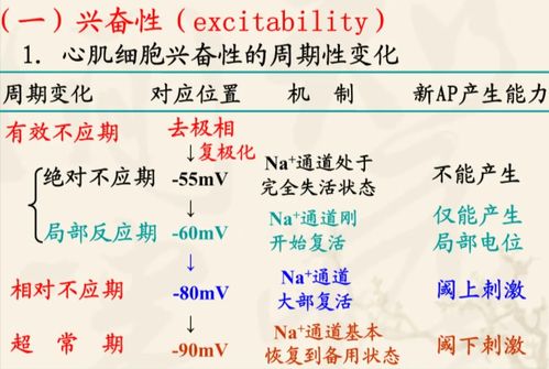 探索“激动”的多样表达：近义词大集合 2