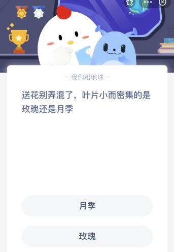 揭秘：叶片小而密集，你分得清是精致玫瑰还是温婉月季吗？ 4