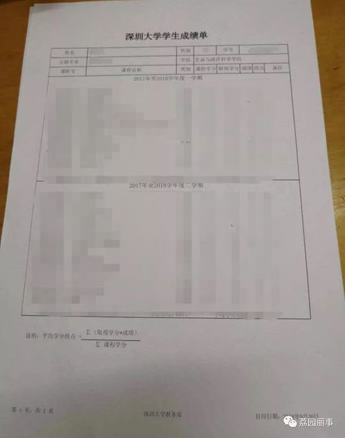 大学成绩单原件获取全攻略 4