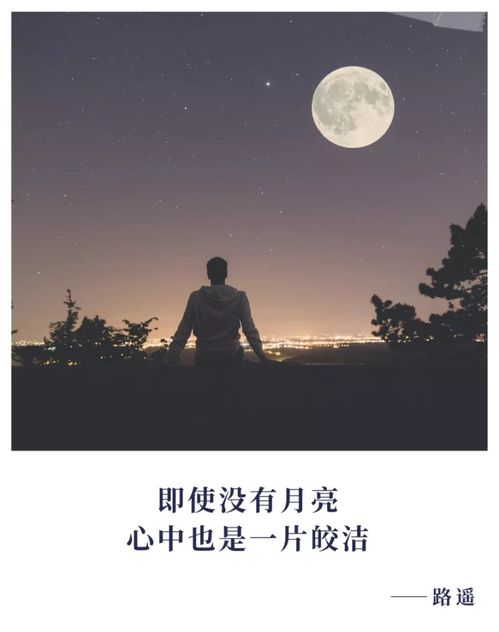 今晚月色醉人，风亦柔情下一句是什么 2