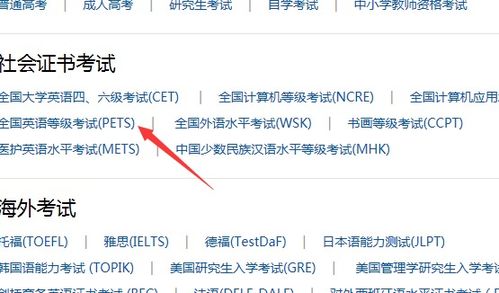 如何查询大学生英语A级成绩？ 2