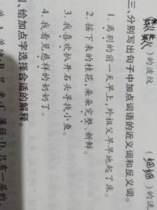 严厉的对立面：探索慈祥的反义词 2