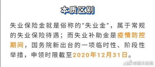 大学生如何轻松申请失业补助金？领取条件全解析！ 1