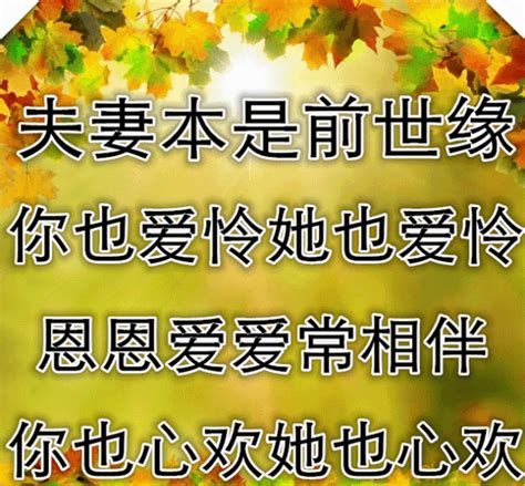 千年缘定，共渡同眠：深解“百年修船渡，千年共枕眠 2