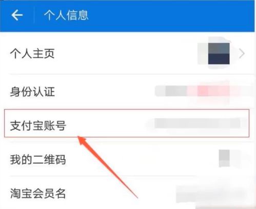 如何查询自己的支付宝账号？ 2