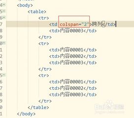 掌握table表格中跨列colspan的实用技巧 4