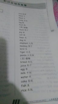 西瓜的英文发音怎么读？ 2