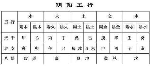 揭秘：一目十行对应的生肖或数字是什么？ 3