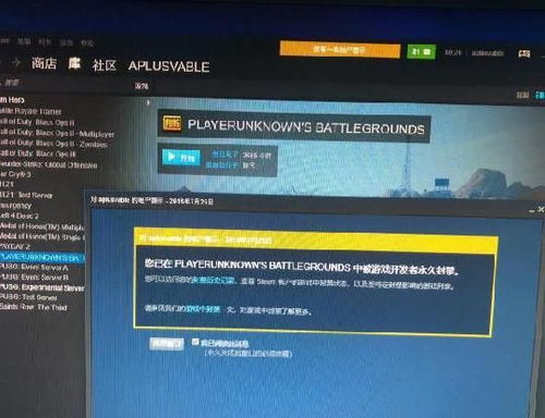 购买PUBG成品账号的推荐渠道 3