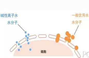 接触电势产生的机制 1