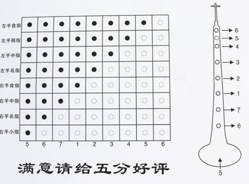 竖笛吹奏1234567音阶的指法指南 3