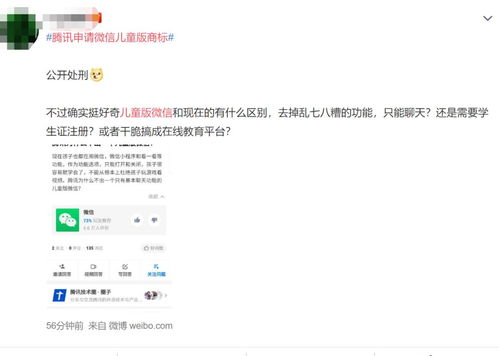 揭秘“网信”：究竟何为这一时代的关键概念？ 2