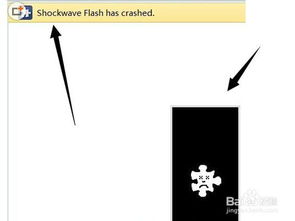 震惊！Shockwave Flash崩溃？这里有超实用的解决秘籍！ 2