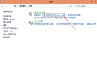 Win 10系统下怎样完全卸载IE浏览器？ 4