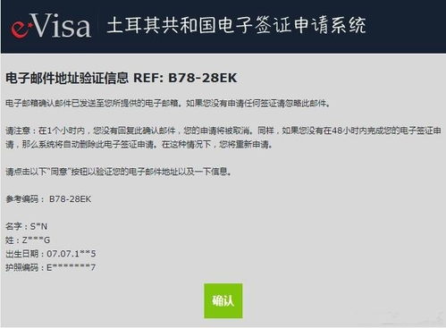 如何快速办理土耳其电子签证 3