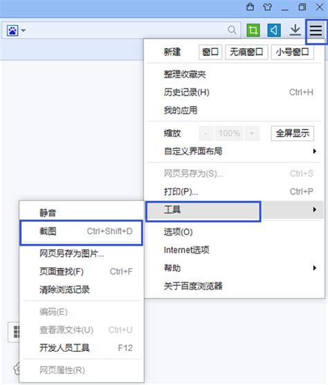 轻松学会：在网页中截图的方法 4