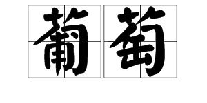 探索“聒”字的拼音奥秘，你知道它怎么读吗？ 3