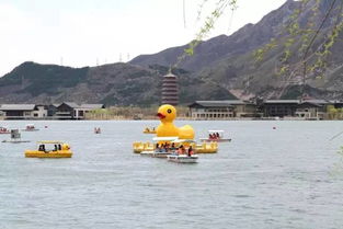 雁栖湖风景区：超全游玩攻略，不容错过的美景指南！ 2