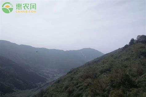 揭秘五岳之巅：中国哪座山荣膺‘首岳’之称，引领群山之尊？ 2