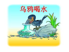 除了乌鸦喝水的方法，还有哪些方式能喝到水？ 2