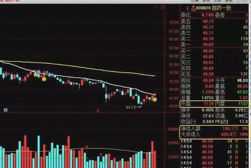 股市秘籍：揭秘“股诊股”的真正含义 4