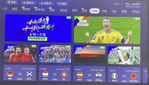 哪里可以看2024欧冠决赛直播回放？ 4