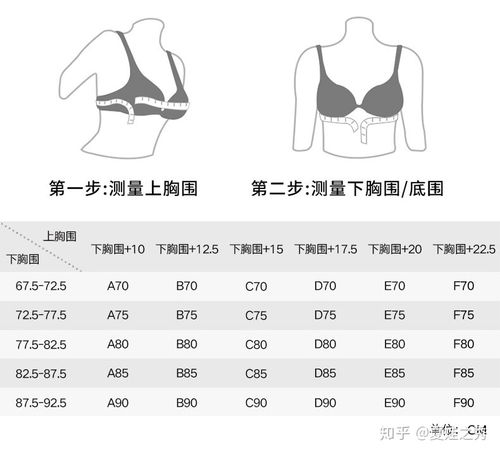 如何正确测量胸围尺寸 3