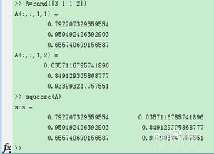 MATLAB常用函数：详解squeeze函数 2