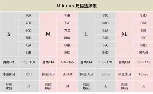 SMLXL尺码分别对应的是多大？ 3